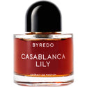 Casablanca Lily 2025