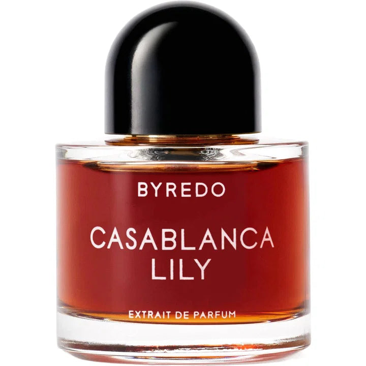 Casablanca Lily 2025